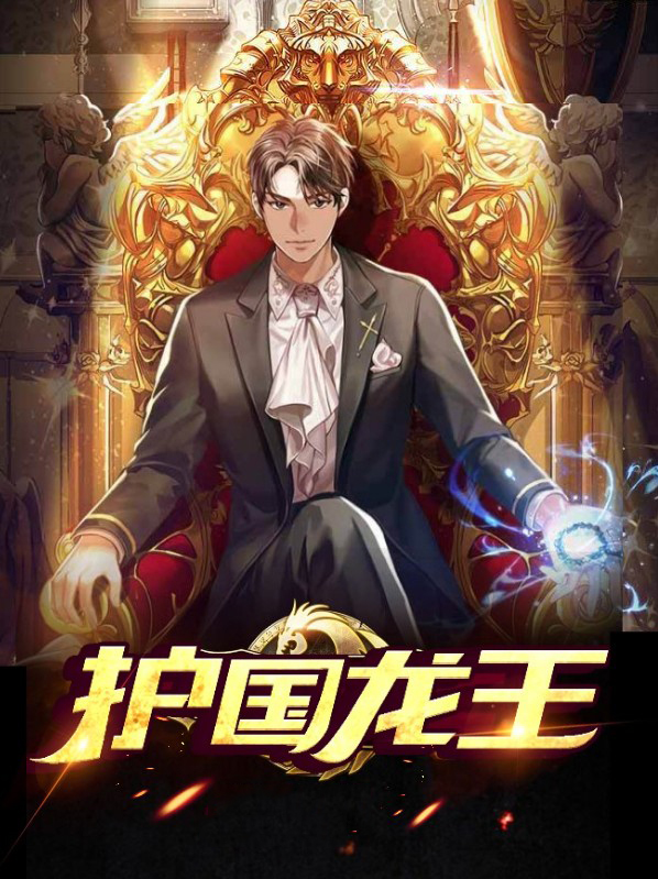 护国龙王 小说