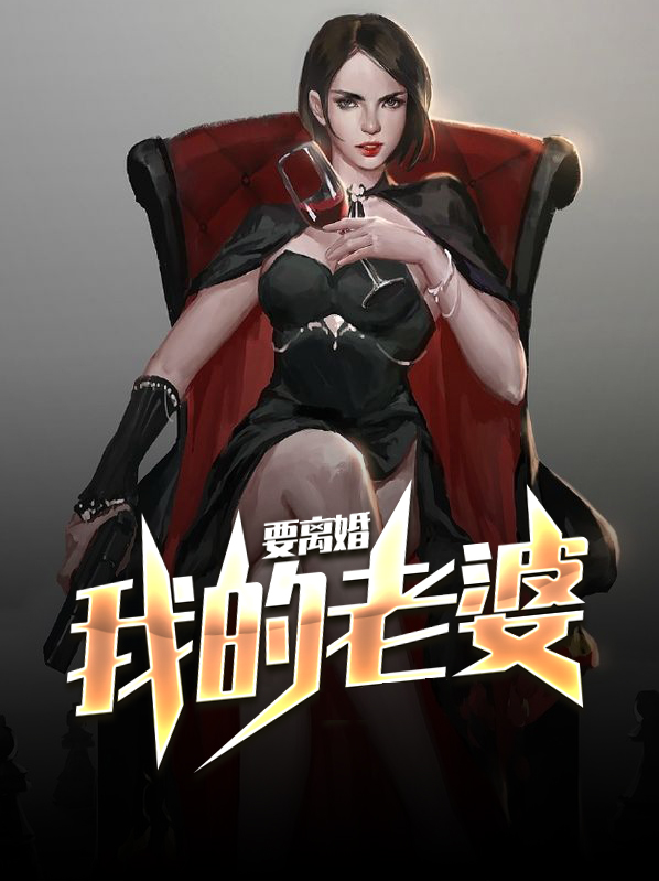 我的老婆要离婚 文不凡