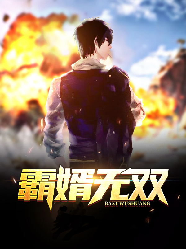 丸霸无双下载