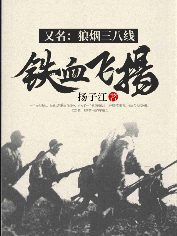 铁血飞扬 小说