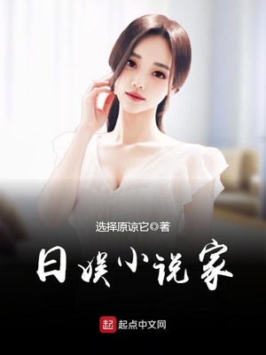 日娱小说家怎么样