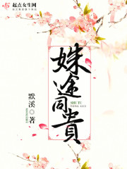 殊途同贵小说