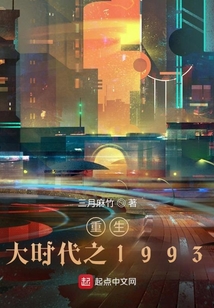 重生大时代之1993精校版