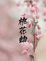 桃花劫
