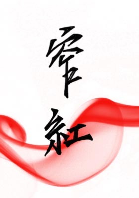 窄红折一枚针完整版