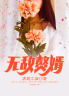 无敌赘婿免费阅读