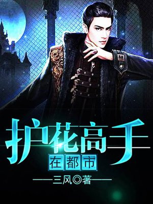 护花高手在都市笔趣阁
