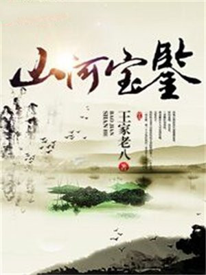 山河宝鉴 王家老八