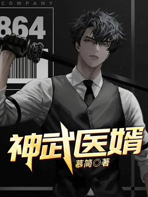 神武医婿 小说