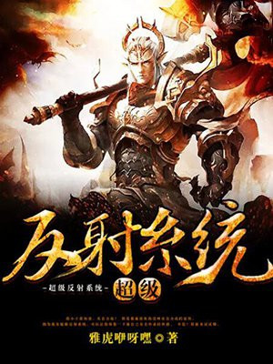 反射系统检查