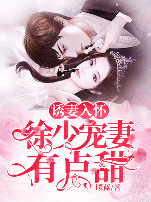 徐少的隐婚甜