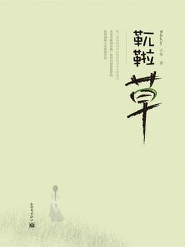 }B草皮鞋怎么样