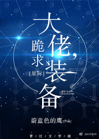 大佬,跪求装备![星际]懒而已