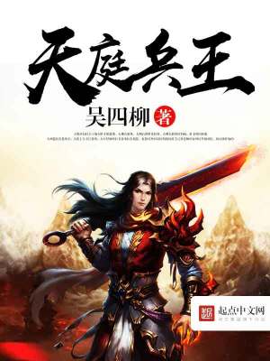 天庭兵王txt