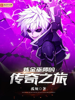 巫师的传奇之旅小说