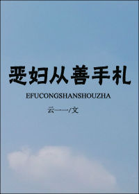 恶妇从善手札小说