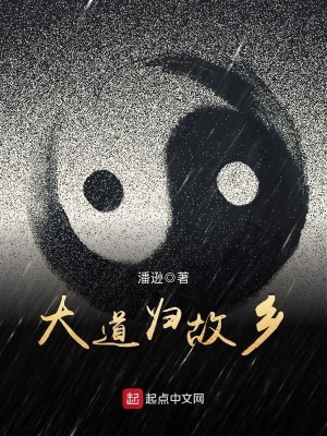 大道归故乡 小说