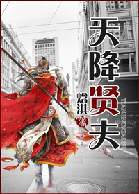 天降贤夫(古穿今)