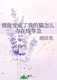 情敌变成了我的猫怎么办在线等急晋江