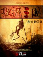 数据三国开局一把神秘剑
