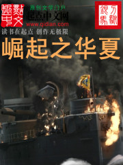 崛起之华夏在线阅读