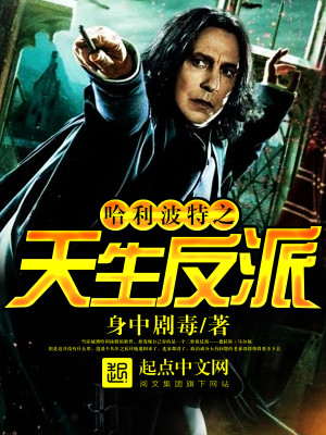 哈利波特之天生反派小说