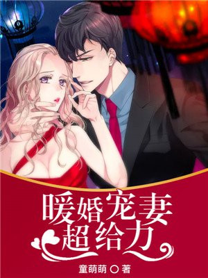 暖婚宠妻超给力免费阅读