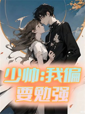少帅和我