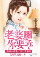 宠妻成瘾老婆你要乖全文免费阅读