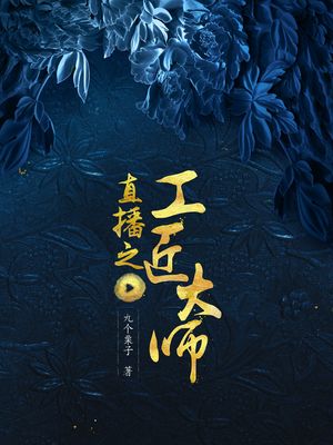 直播之工匠大师重云结局