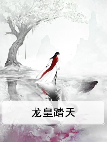 踏天龙皇全文免费阅读