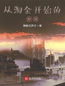 从淘金开始的财阀 小说