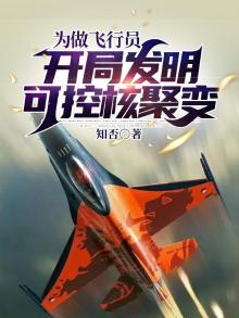 为做飞行员,开局发明可控核聚变