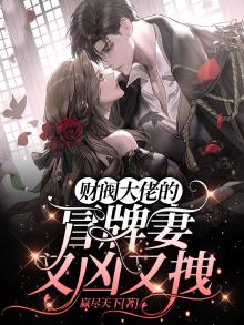 财阀大佬您的夫人a炸了免费阅读