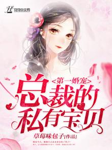 第一婚宠:总裁的私有宝贝