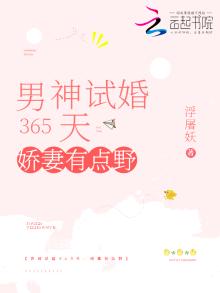 男神试婚365天金牌