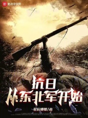 抗日从东北王开始