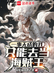 一事无成的我只能去当海贼王小说