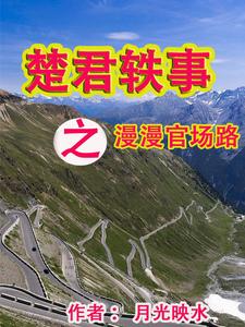 楚君小说