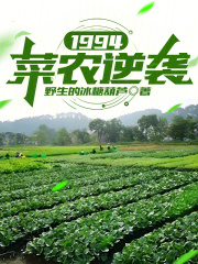 1994菜农逆袭小说
