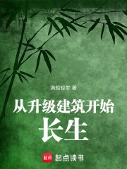升级建筑流小说