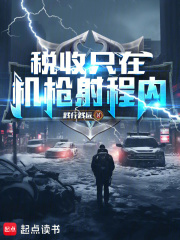 税收只在机枪射程内 数据