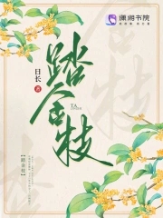 踏金枝小说百度网盘下载