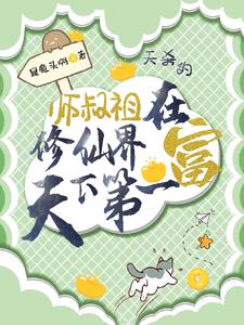 师叔在此小说