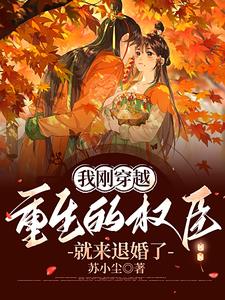 穿越后我成了权臣的