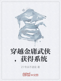 穿越在金庸武侠各个世界的小说
