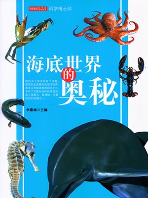 海底世界的奥秘视频