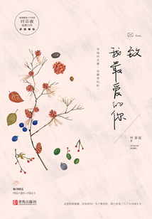 致我最爱的你小说