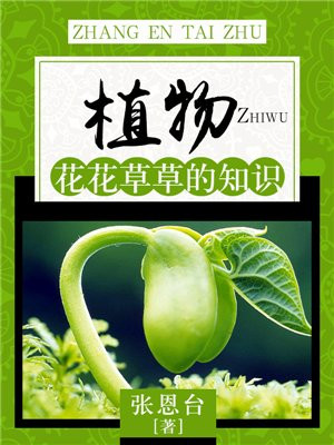 花花草草的图案