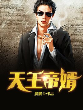 天王帝婿免费阅读